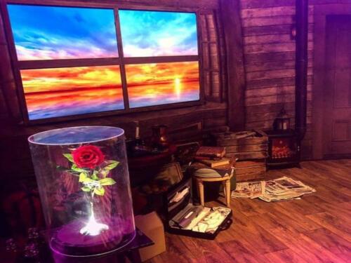 33466827_10213439982927836_2120438080023298048_n-1024x768