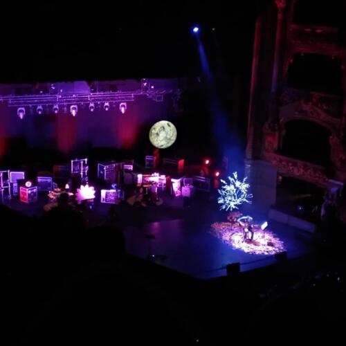 62433871_1477039649105128_6035352933537061822_n